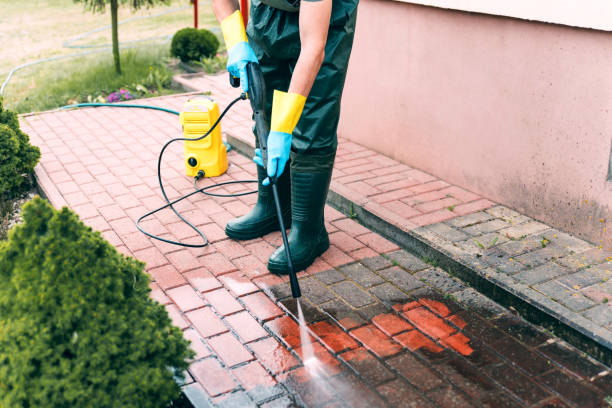 Best Best Pressure Washing Companies  in Schler Park, IL