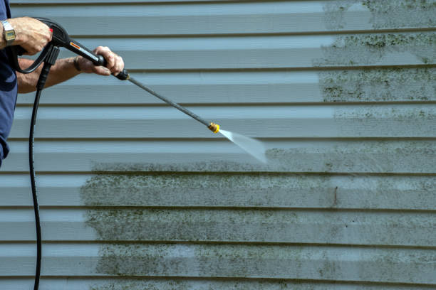 Best Residential Pressure Washing Services  in Schler Park, IL