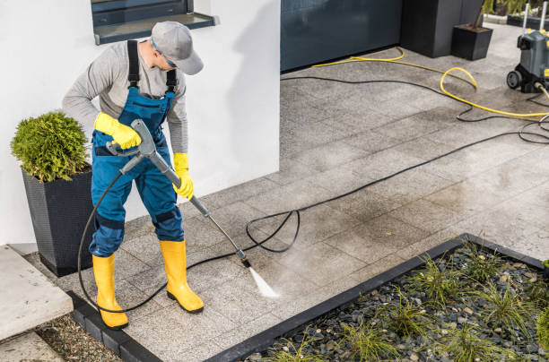 Best Affordable Pressure Washing  in Schler Park, IL