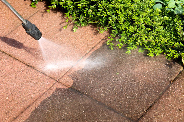 Best Roof Pressure Washing  in Schler Park, IL
