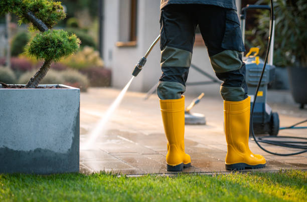 Best Commercial Building Pressure Washing  in Schler Park, IL